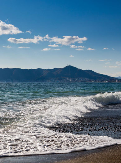 旧函館区公会堂